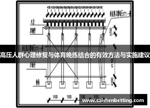 高压人群心理修复与体育晚练结合的有效方法与实施建议
